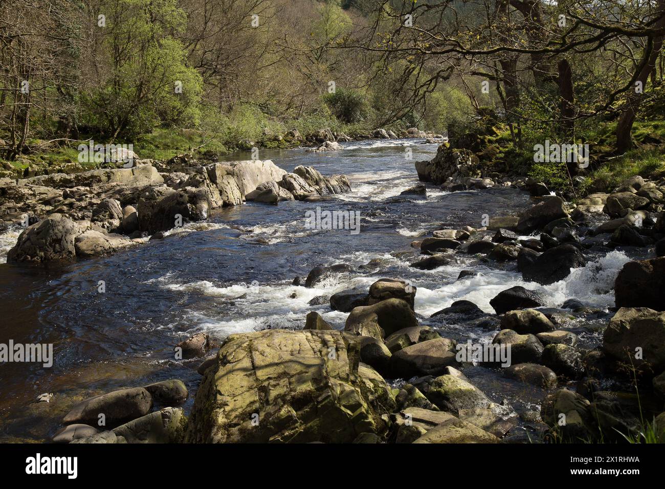 Rhaeadr Ddu et Coed Ganllwyd marchent sur la rivière Gamlan Banque D'Images