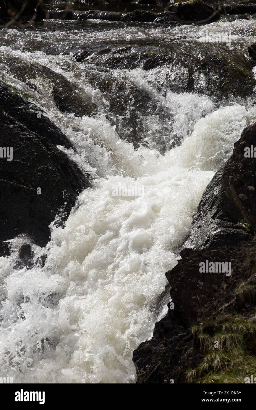 Rhaeadr Ddu et Coed Ganllwyd marchent sur la rivière Gamlan Banque D'Images