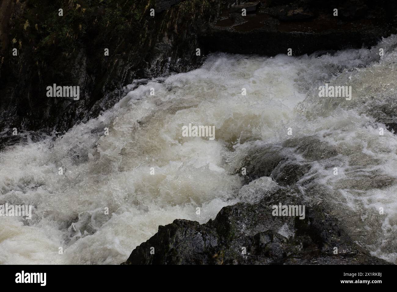 Rhaeadr Ddu et Coed Ganllwyd marchent sur la rivière Gamlan Banque D'Images