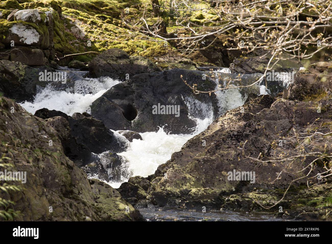 Rhaeadr Ddu et Coed Ganllwyd marchent sur la rivière Gamlan Banque D'Images