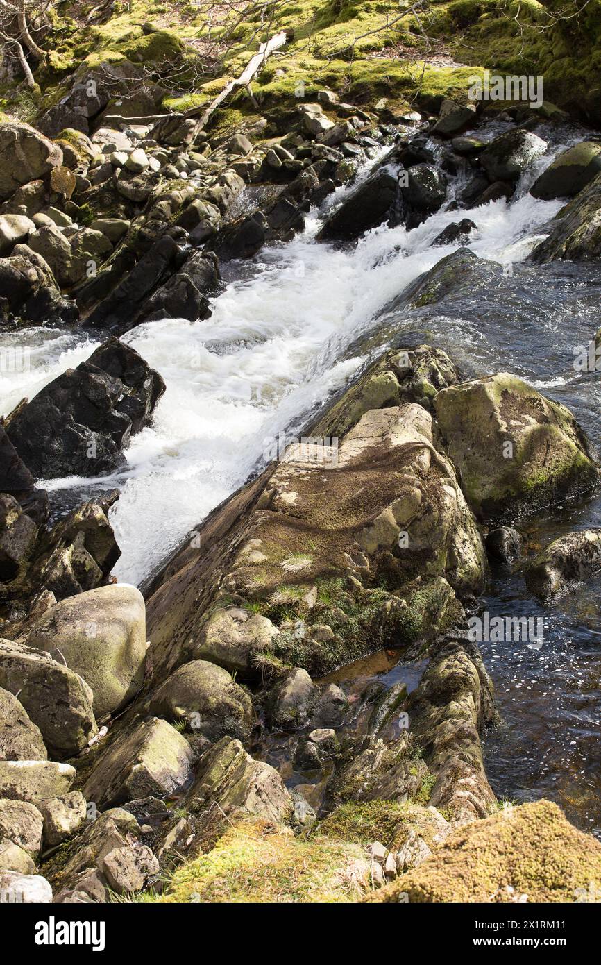 Rhaeadr Ddu et Coed Ganllwyd marchent sur la rivière Gamlan Banque D'Images