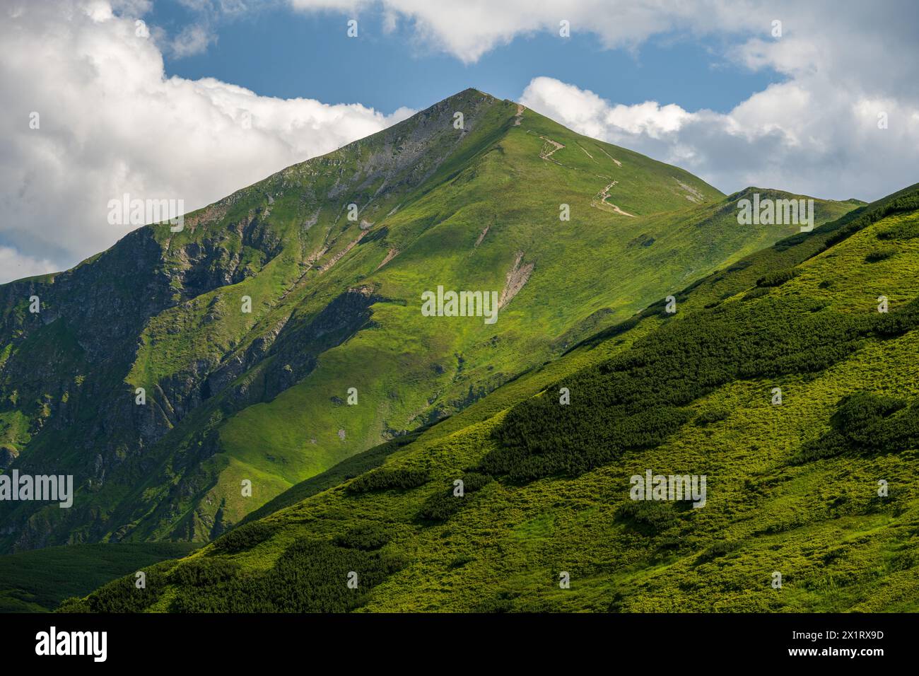 Vue rapprochée sur le sommet verdoyant de la montagne dans les montagnes West Tatra. Starorobocianski Wierch en été sous bleu, nuageux. Banque D'Images