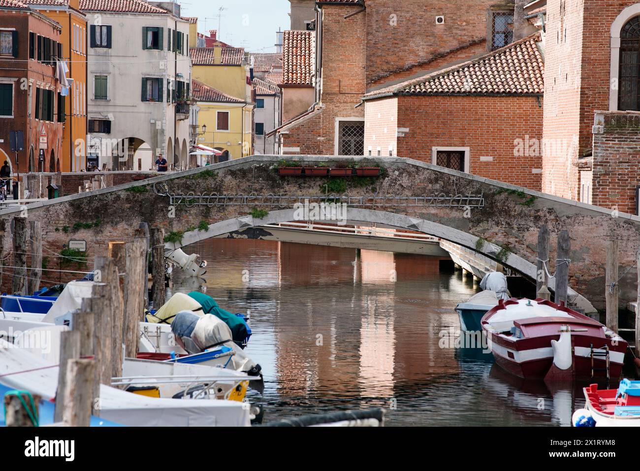 Chioggia, région Vénétie, ville métropolitaine Venise, Italie, Europe Banque D'Images