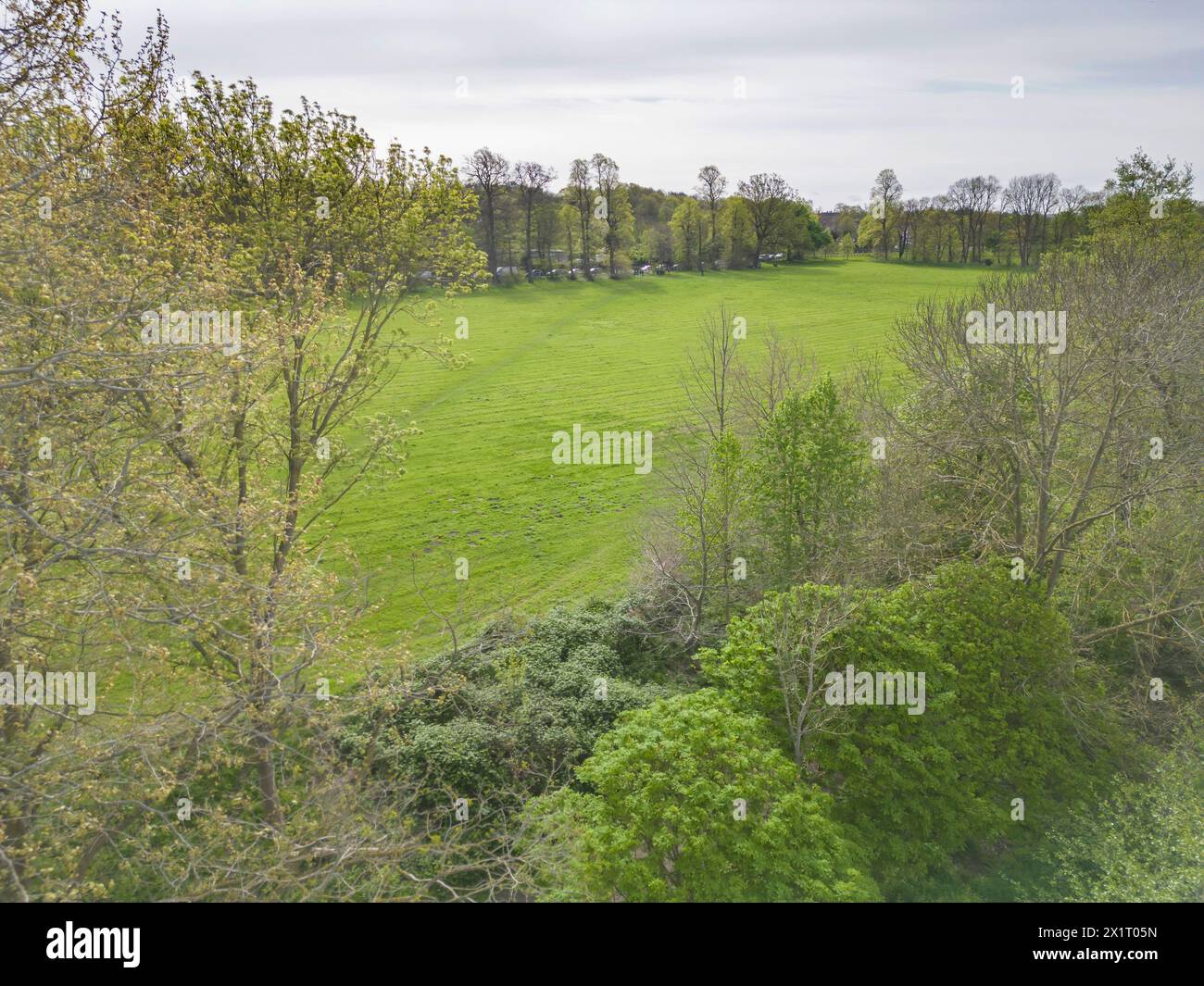 foots cray meadows sur les rives de la rivière crane est une réserve naturelle de bois, de promenades et de prairies à sidcup londres Banque D'Images