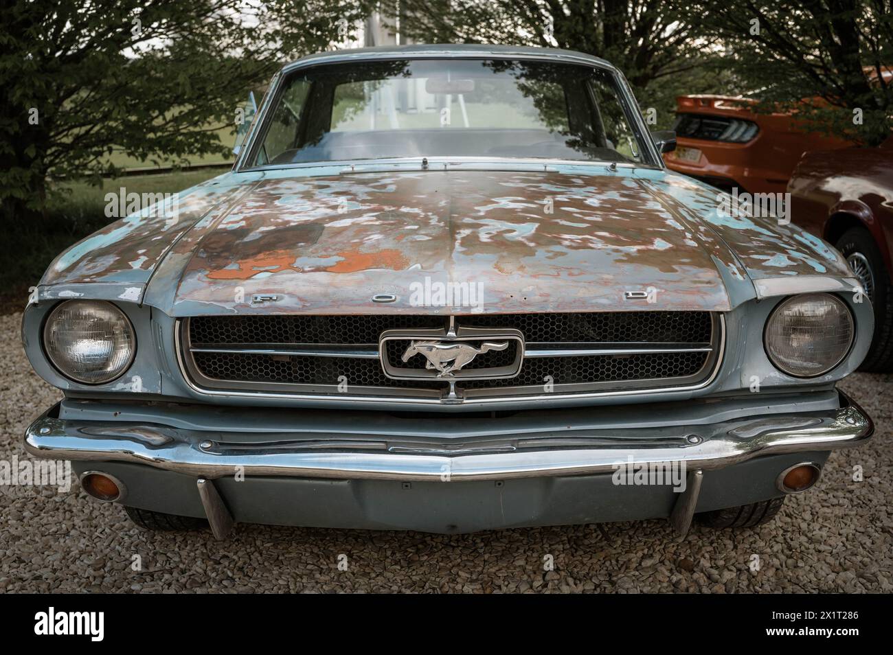 Vintage Ford Mustang ayant besoin d'être restaurée, exposée au Banbury car & Bike Meet en avril 2024, qui s'est tenu au Banbury Cricket Club à Bodicote. Banque D'Images