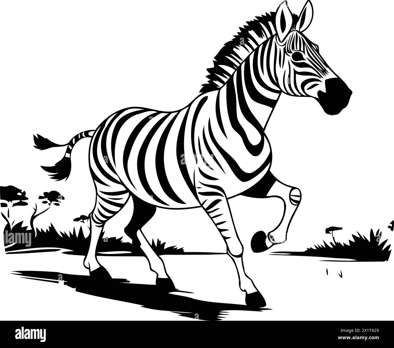 Zebra courant dans le désert. Illustration vectorielle d'un animal sauvage. Illustration de Vecteur