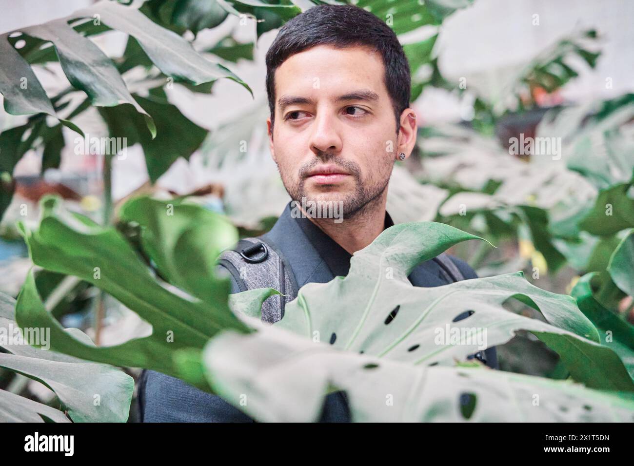 portrait d'un homme latin parmi les feuilles vertes de plantes Banque D'Images