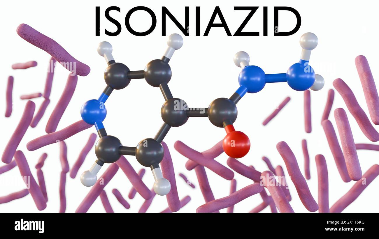 Le rendu 3d de l'isoniazide est un antibiotique utilisé dans le traitement des infections à Mycobacterium tuberculosis Banque D'Images