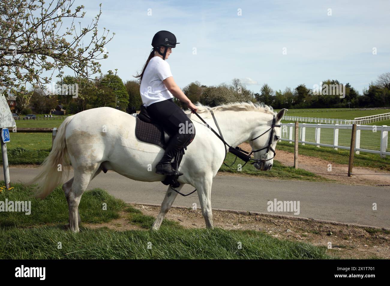 Horse Rider par Epsom Downs Racecourse Surrey Angleterre Banque D'Images