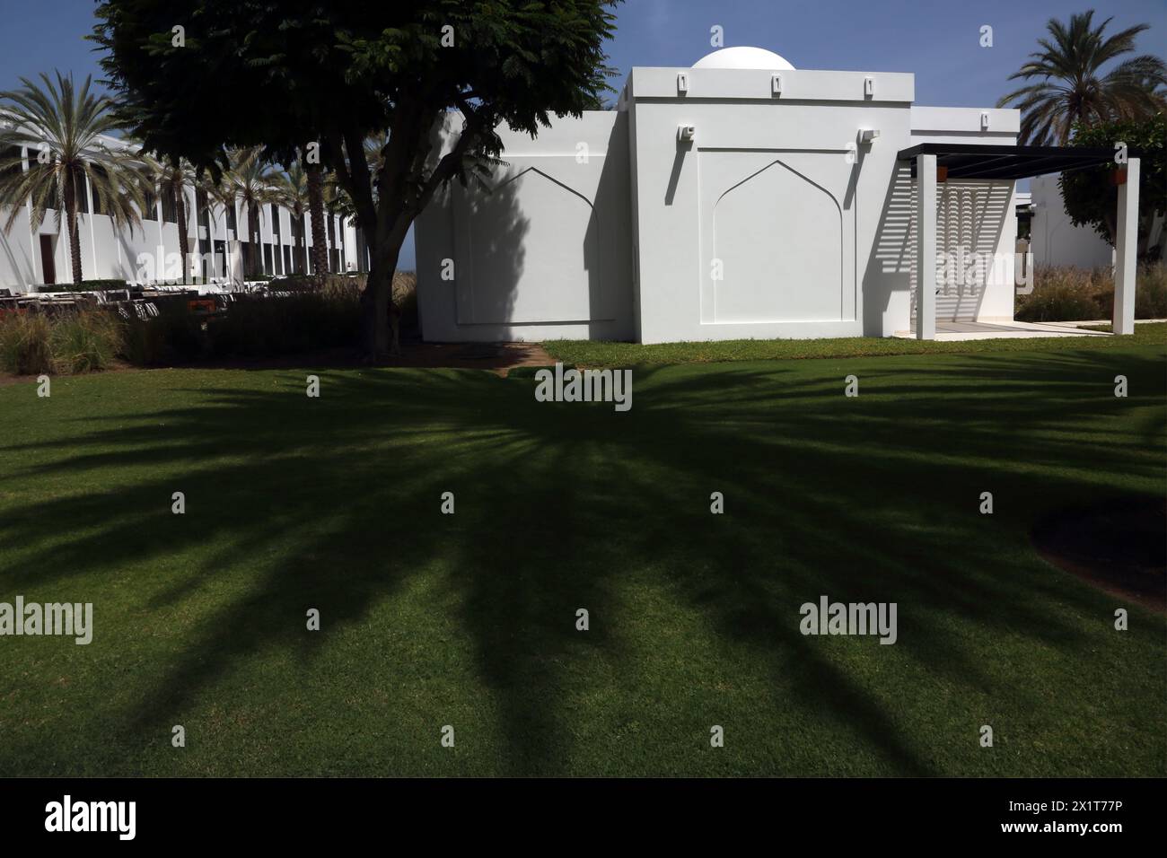 Ombre de palmier dattier sur herbe devant le Chedi Hotel Muscat Oman Banque D'Images