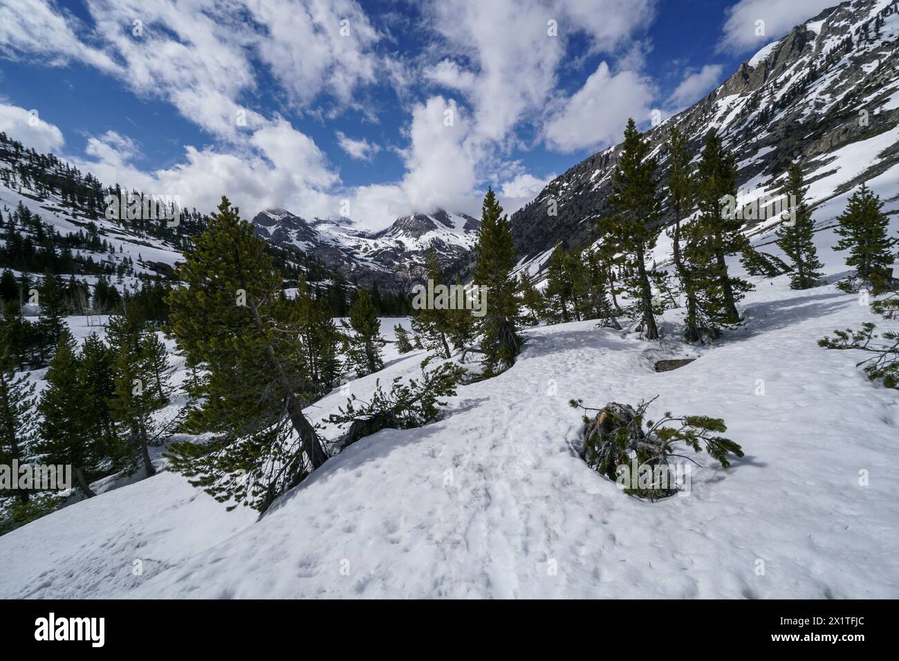 Pacific Crest Trail. Un paysage de montagne enneigé avec des arbres et un chemin. Le ciel est bleu avec quelques nuages Banque D'Images