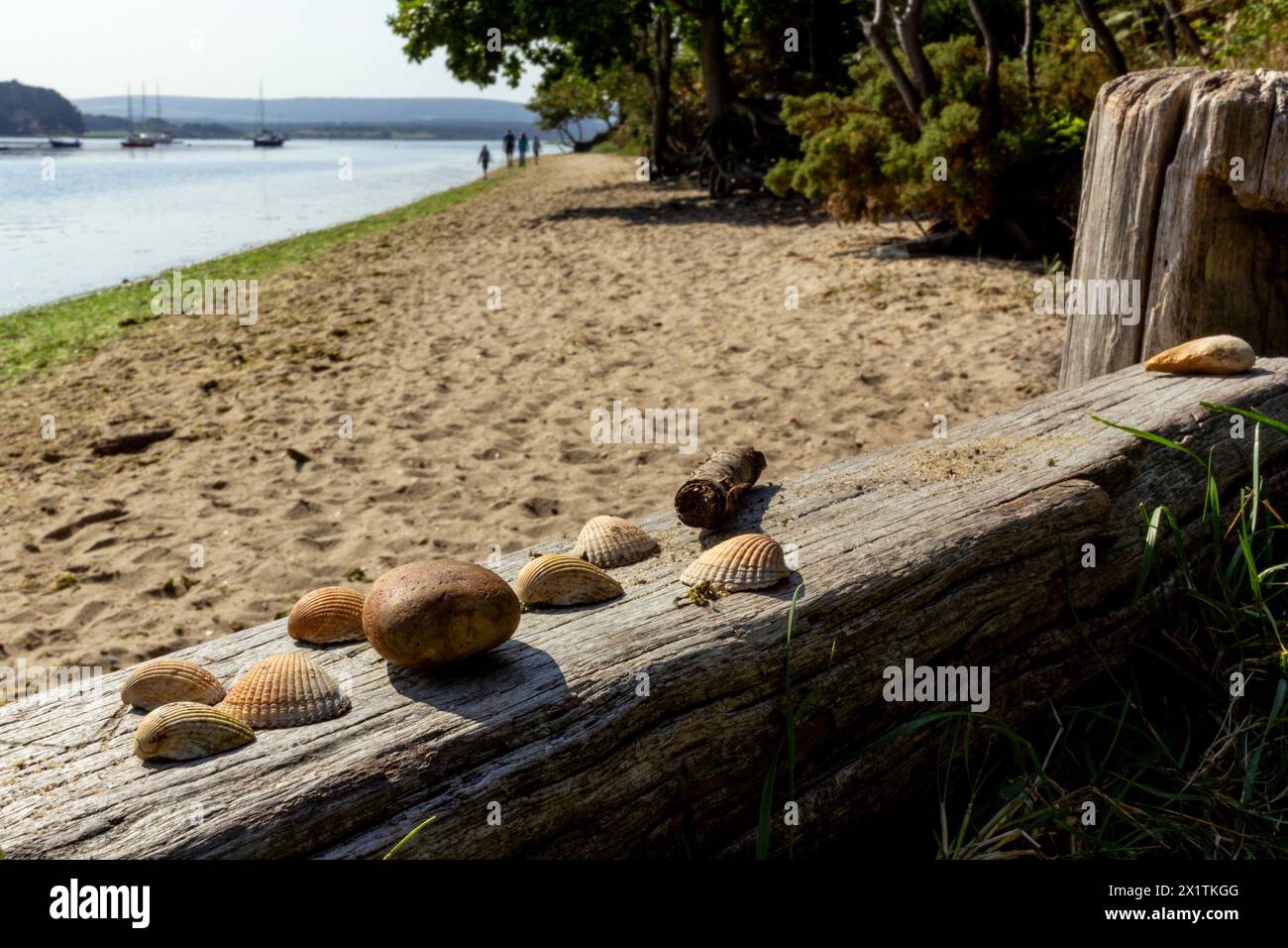 Coquillages et cailloux sur une clôture en bois sur un isolé avec une famille (non identifiable) marchant sur le bord de l'eau en arrière-plan Banque D'Images