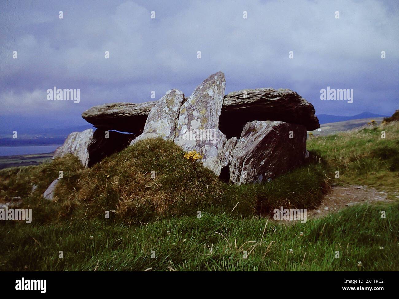 Blick auf ein mégalithe Tomb - Steinzeitgrab auf Valentia Island - Irland Irland Munster Westkueste Kerry Valencia Insel Ballymanagh *** vue d'un tombeau mégalithique tombe de l'âge de pierre sur l'île de Valentia Irlande Munster côte ouest Kerry Valencia Island Ballymanagh Banque D'Images