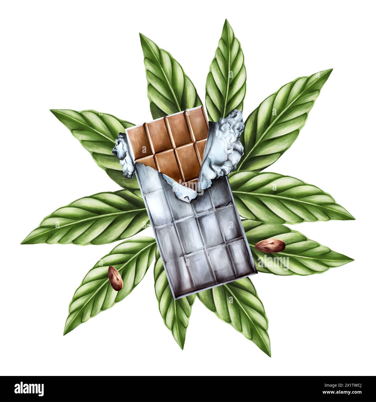 Composition d'aquarelle avec barre de chocolat en feuille ouverte déchirée et feuilles vertes. Beens dessinés à la main, illustration réaliste de superaliment organique isolé sur Banque D'Images
