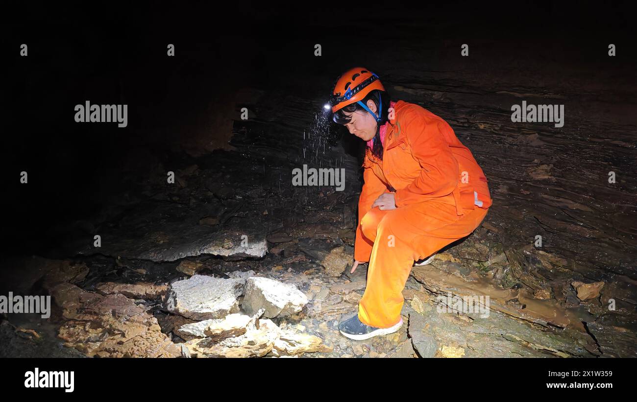 (240418) -- GUIYANG, 18 avril 2024 (Xinhua) -- un expert mène une expédition scientifique dans la grotte de Shuanghe à Zunyi, dans la province du Guizhou au sud-ouest de la Chine, le 13 avril 2024. POUR ALLER AVEC 'le site fossile de Panda découvert dans la plus longue grotte d'Asie dans le Guizhou de la Chine sud-ouest' (Xinhua) Banque D'Images