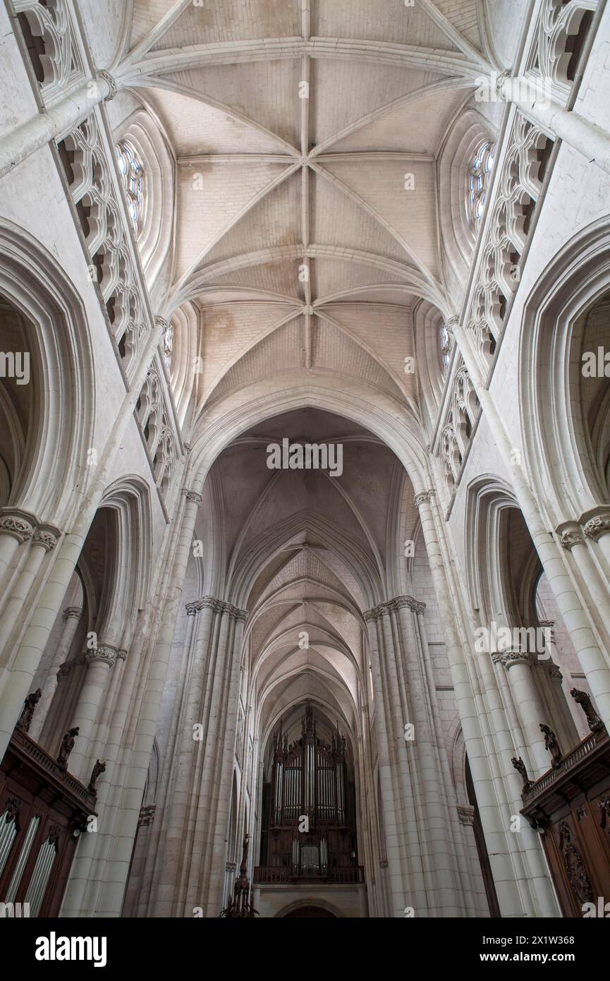 Nef gothique tardif, 13ème siècle, avec loft d'orgue du 19ème siècle, cathédrale notre Dame de l'Assomption, Lucon, Vendée, France Banque D'Images
