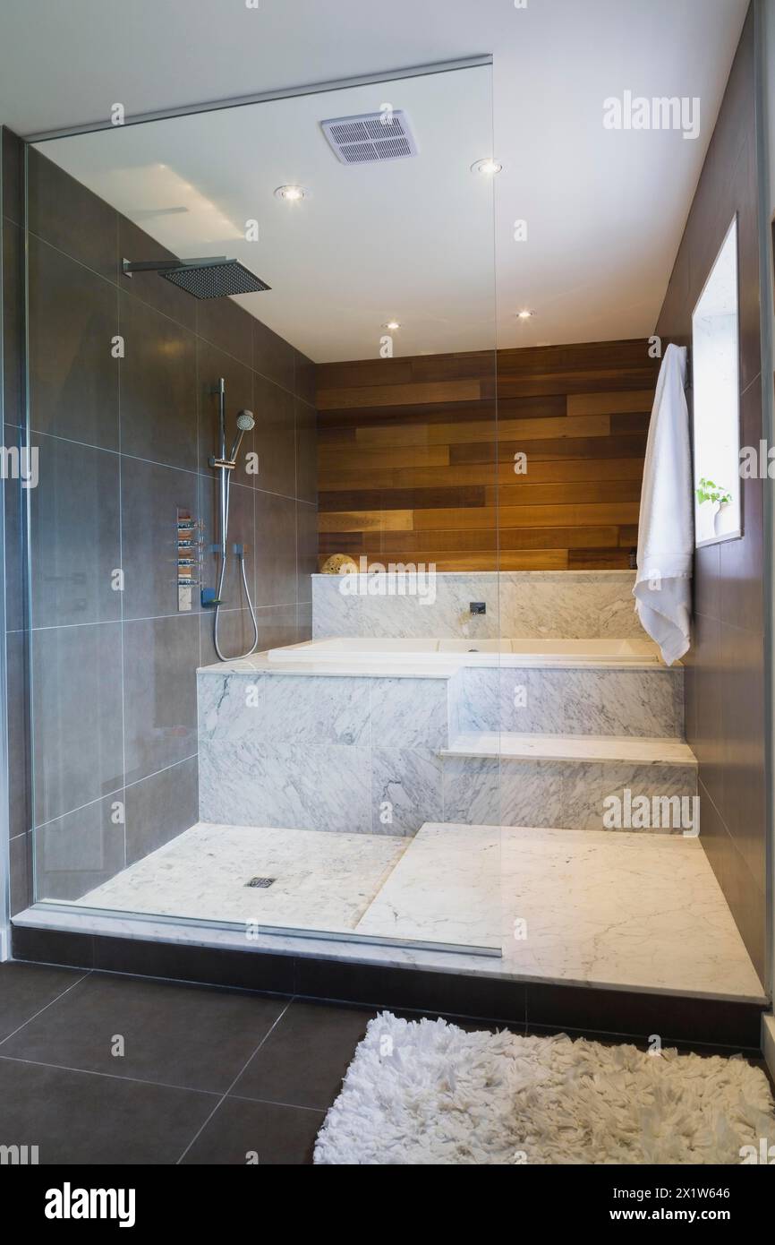Cabine de douche en verre de style chambre humide avec marches en marbre gris et blanc et mur en bois de cèdre rouge dans la salle de bains principale à l'étage à l'intérieur du cube moderne Banque D'Images