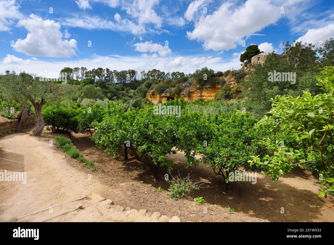 Jardin de la Kolymbethra. Vallée des temples. Agrigento. Sicile. Italie Banque D'Images