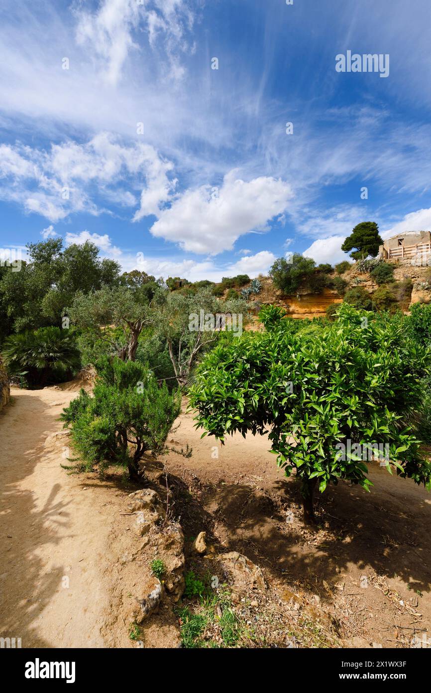 Jardin de la Kolymbethra. Vallée des temples. Agrigento. Sicile. Italie Banque D'Images
