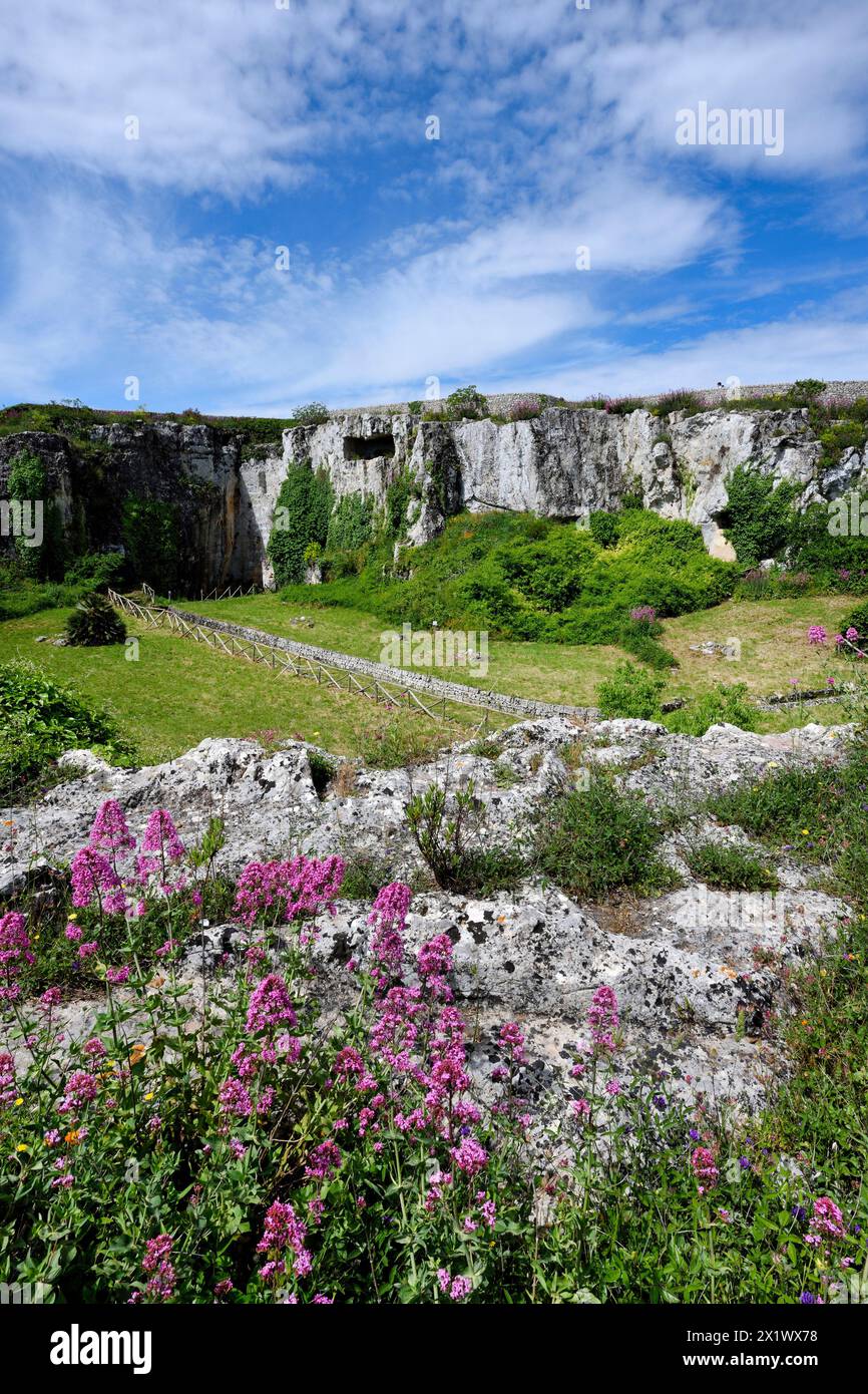 Latomia sculptée. Zone archéologique de ​​akrai. Palazzolo Acreide. Sicile Banque D'Images