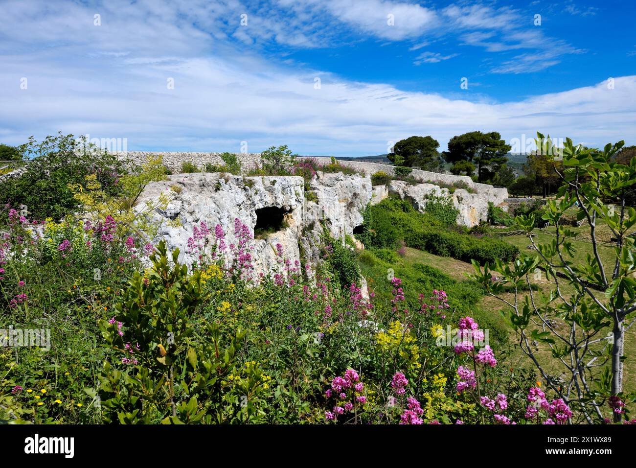 Latomia sculptée. Zone archéologique de ​​akrai. Palazzolo Acreide. Sicile Banque D'Images