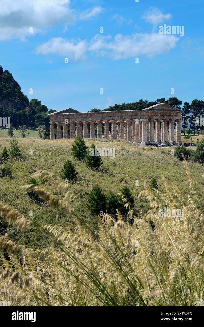 Temple. Zone archéologique de ​​segesta. Calatafimi. Sicile Banque D'Images