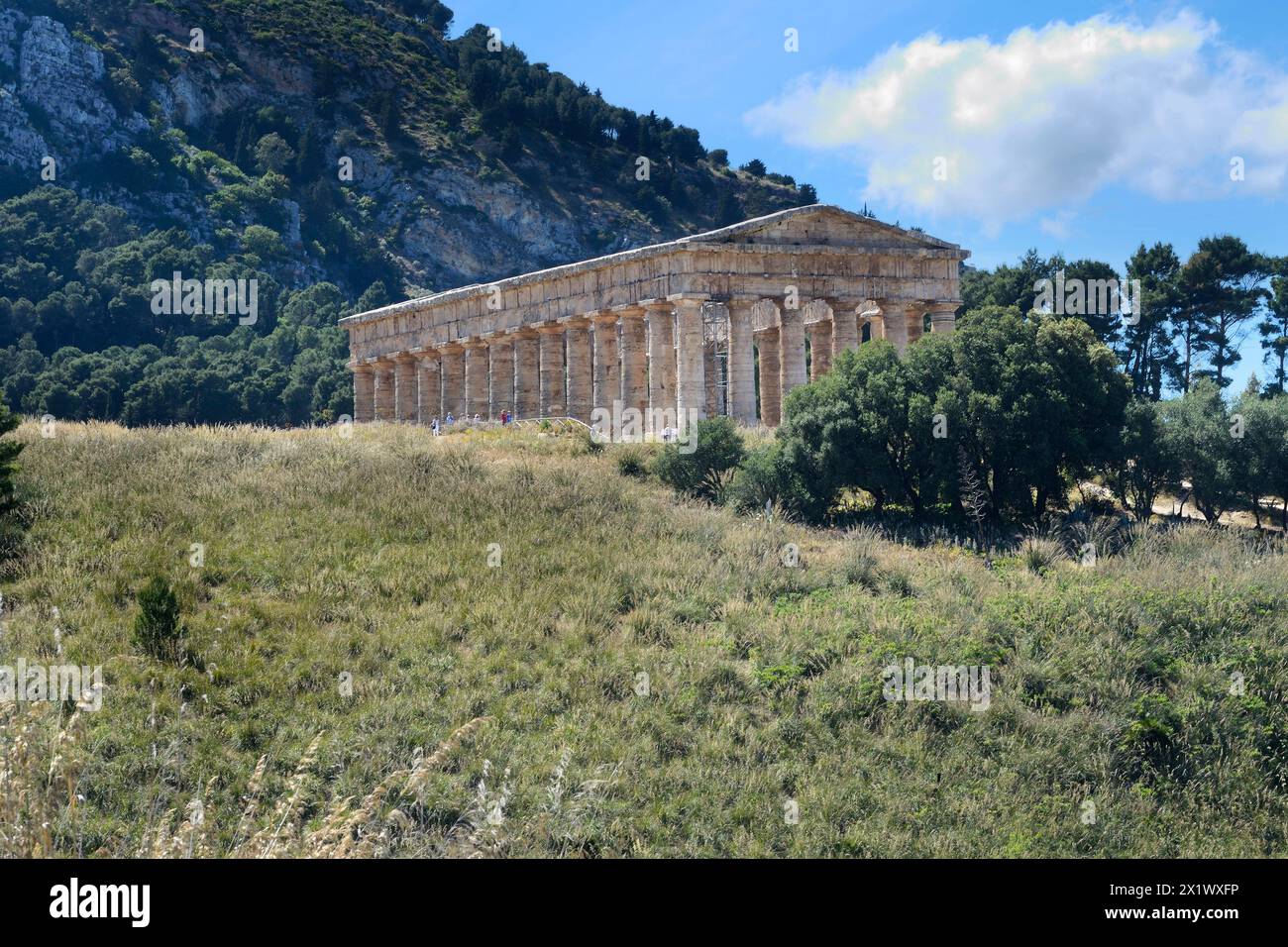 Temple. Zone archéologique de ​​segesta. Calatafimi. Sicile Banque D'Images
