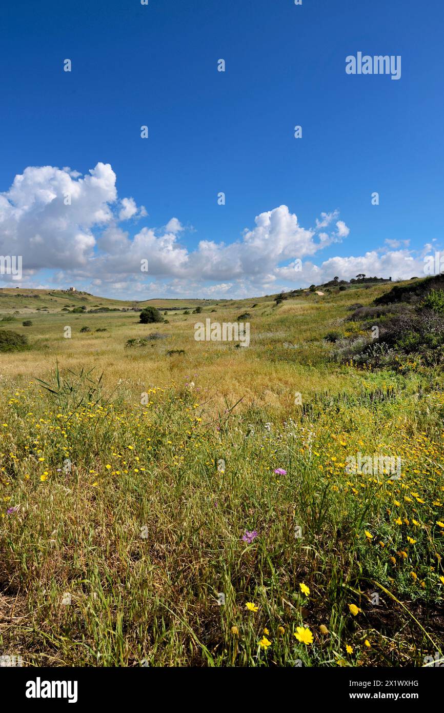 Paysage près de la zone archéologique de ​​selinunte. Castelvetrano. Sicile Banque D'Images