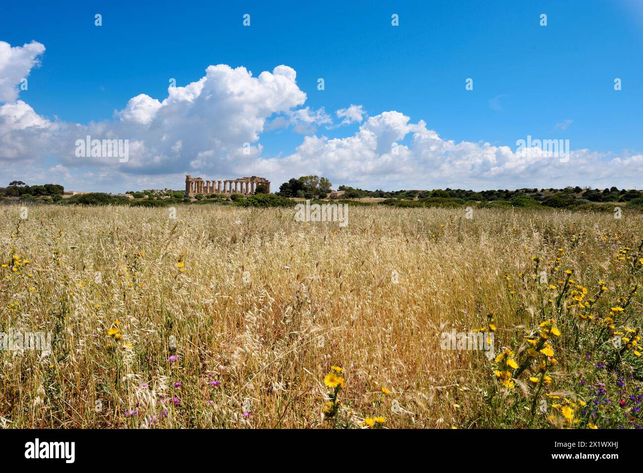 Temple et. Zone archéologique de ​​selinunte. Castelvetrano. Sicile Banque D'Images