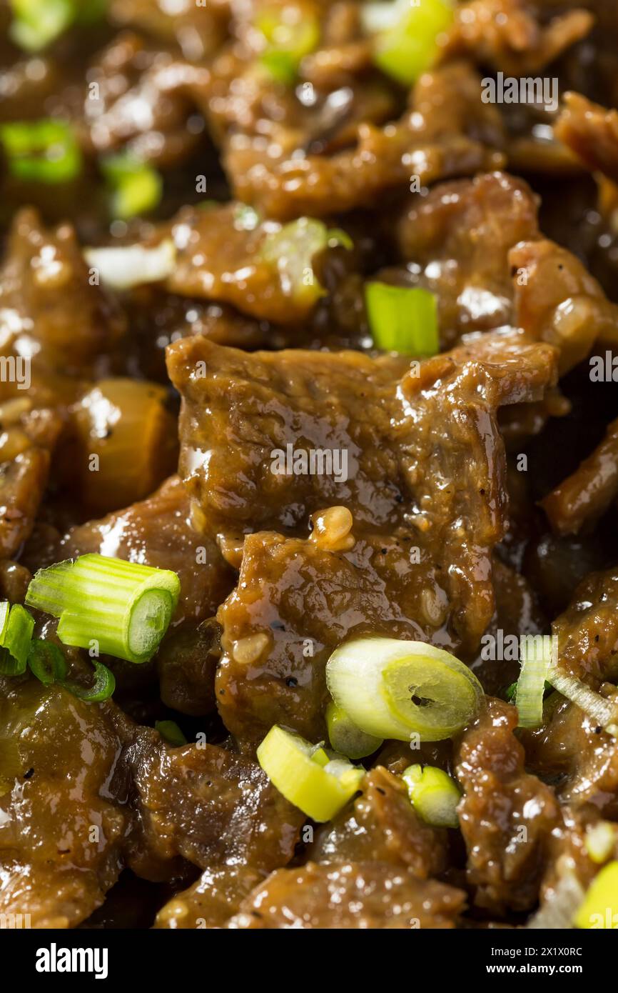 Bulgogi de bœuf coréen épicé avec sauce et échalotes Banque D'Images