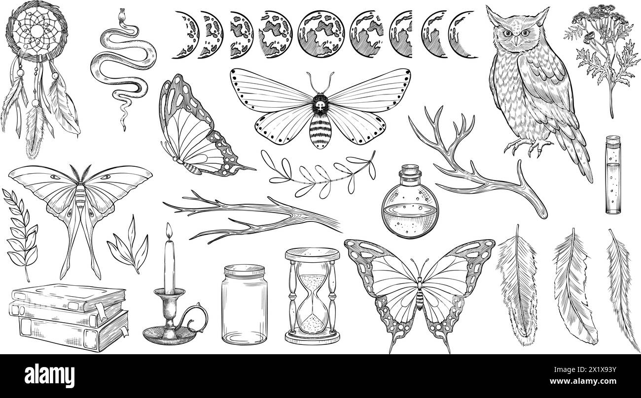 Ensemble forêt mystique. Illustration vectorielle du hibou et des papillons de nuit. Dessin de la collection Witch Magic avec papillon, visages de lune et Dreamcatcher dans un style linéaire peint par des encres noires. Esquisse de poison Illustration de Vecteur