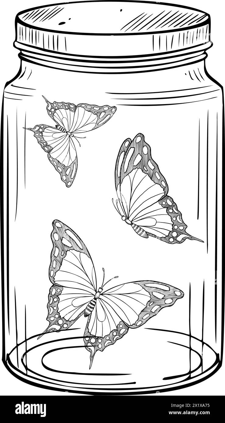 Papillons dans un pot en verre. Illustration vectorielle d'insectes capturés avec des ailes linéaires dans une bouteille. Dessin de papillon volant peint par des encres noires dans le style de contour sur fond isolé. Gravure monochrome. Illustration de Vecteur