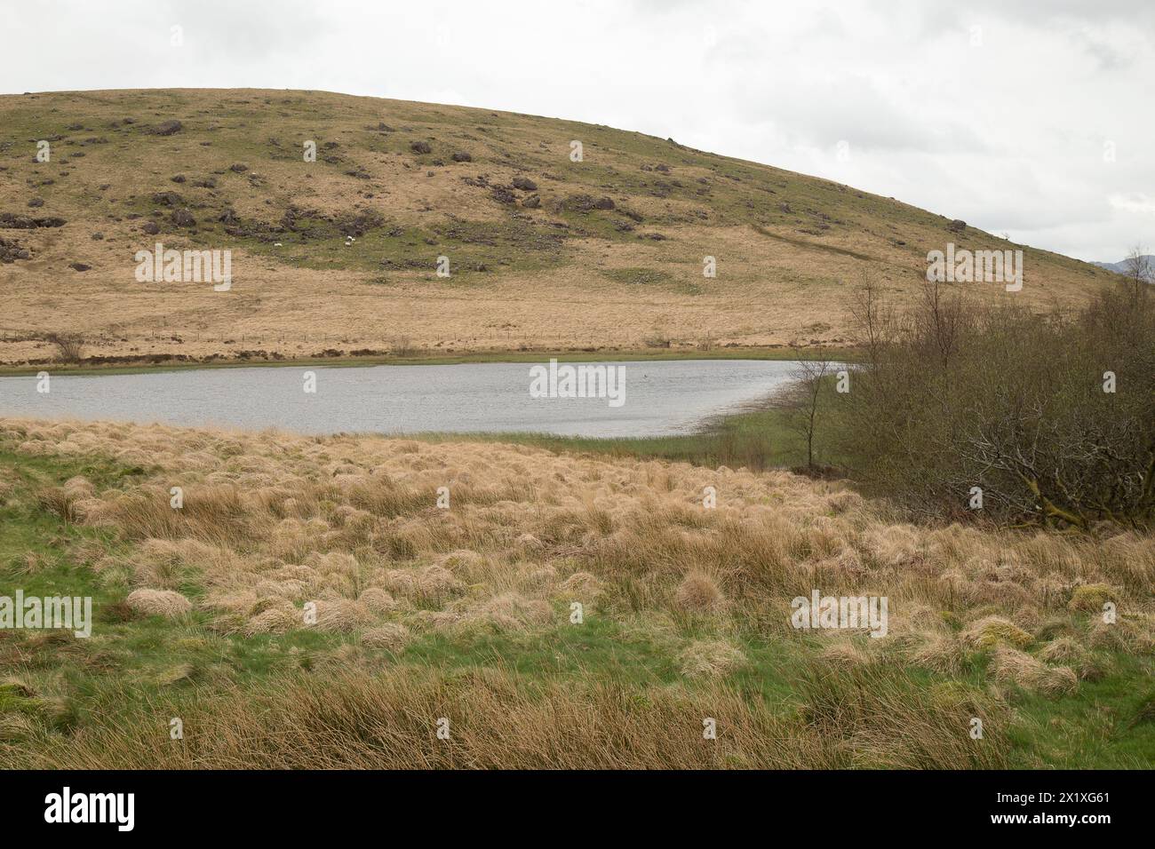 Llyn Pen y Gwryd Banque D'Images