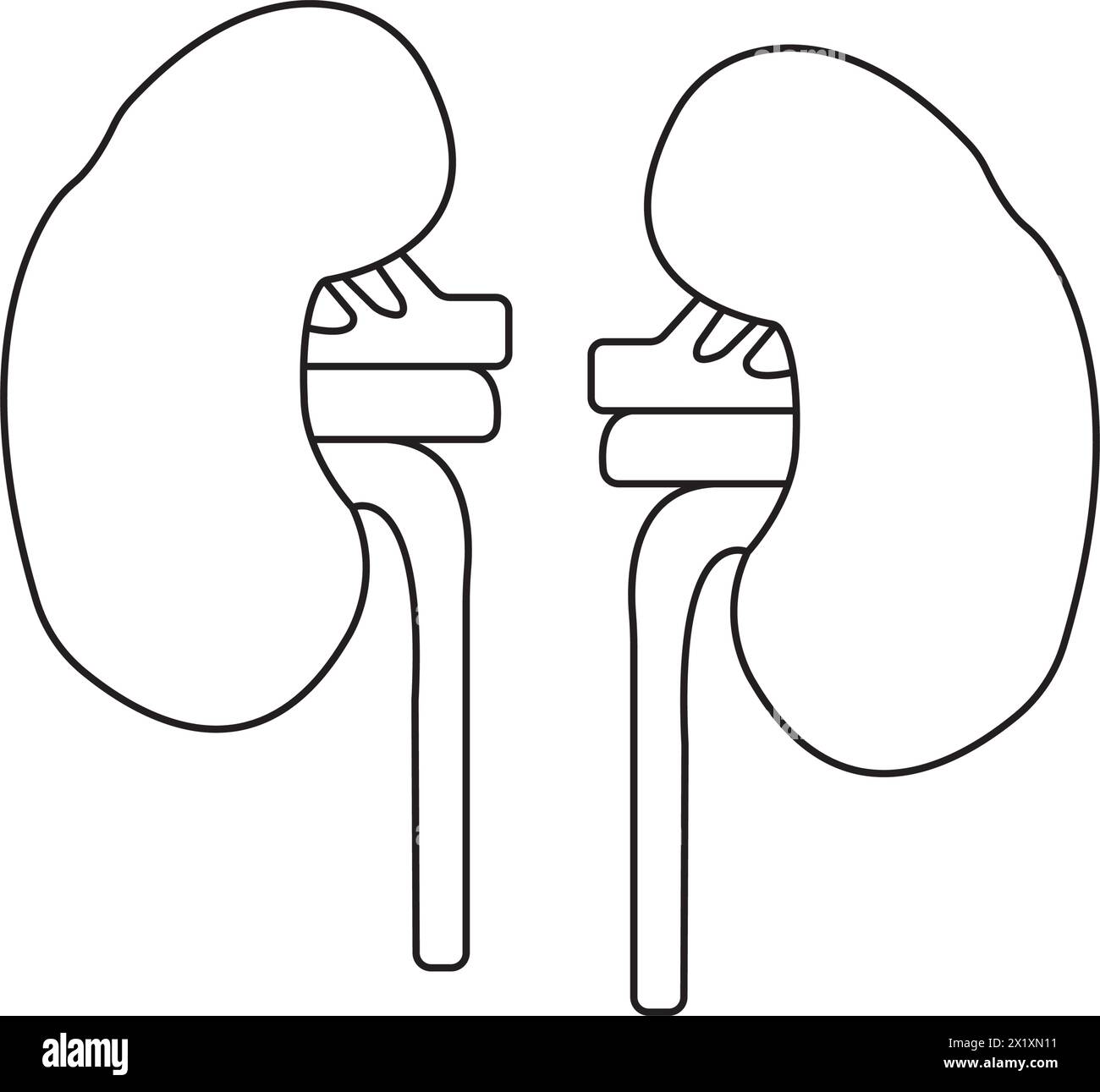 Conception de symbole d'illustration vectorielle d'icône de rein Illustration de Vecteur