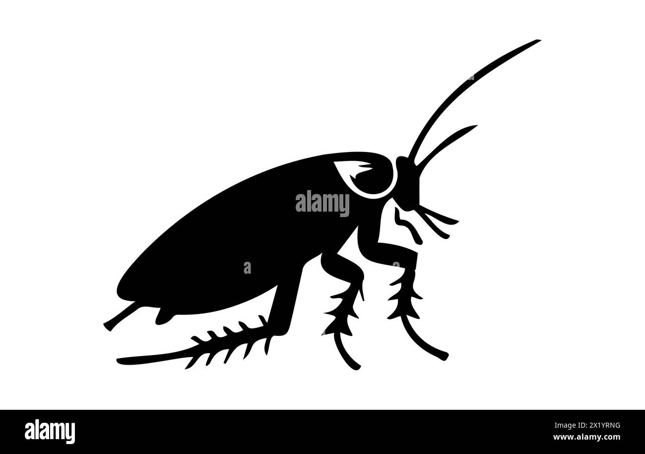 Illustration vectorielle de cafard noir. Silhouette d'un insecte nuisible isolé sur fond blanc. Concept de lutte antiparasitaire, d'infestation et d'hygiène domestique. F Illustration de Vecteur