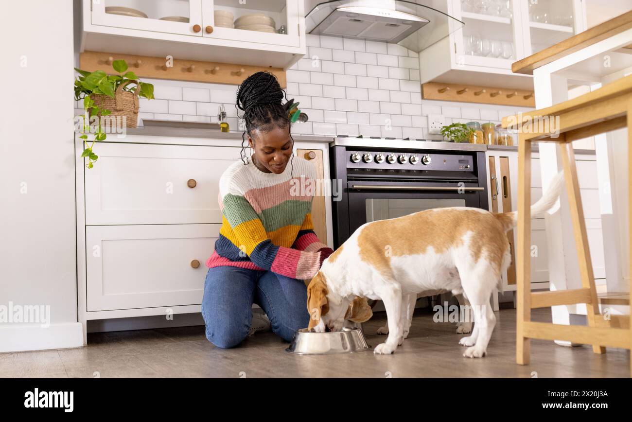 Jeune femme afro-américaine portant chandail coloré caressant chien à l'intérieur à la maison. Elle a les cheveux foncés dans un chignon, souriant doucement à son animal de compagnie dans le kitche Banque D'Images