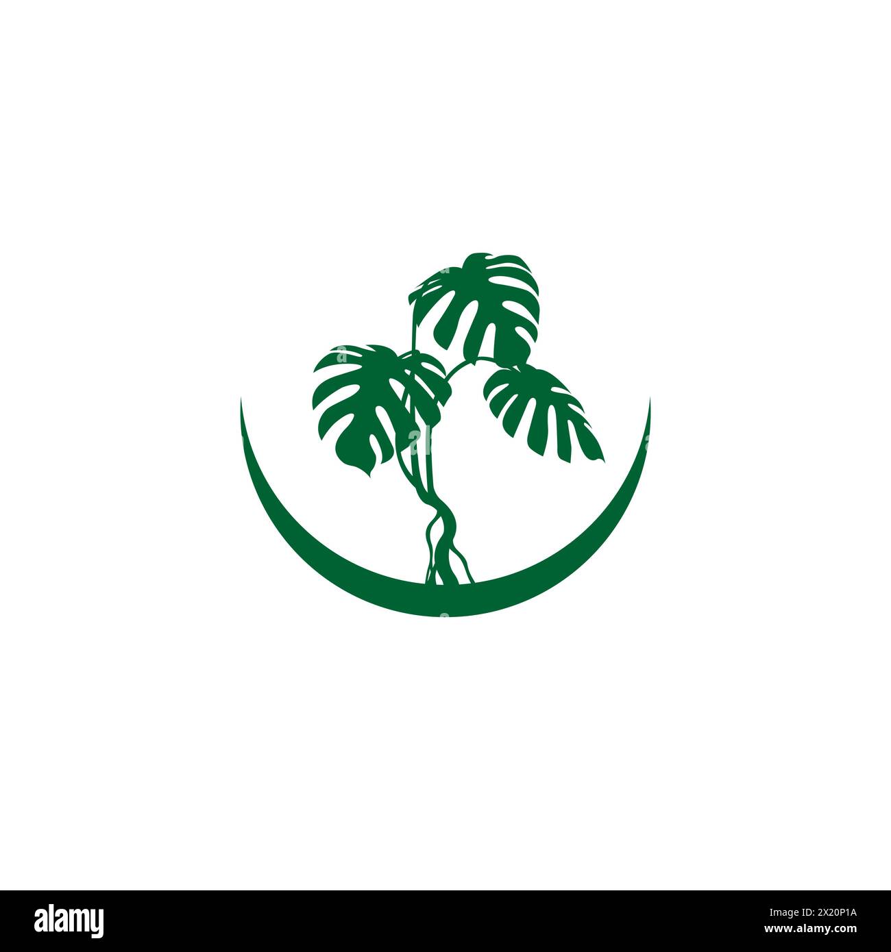 Magnifique logo d'usine Monstera Illustration de Vecteur