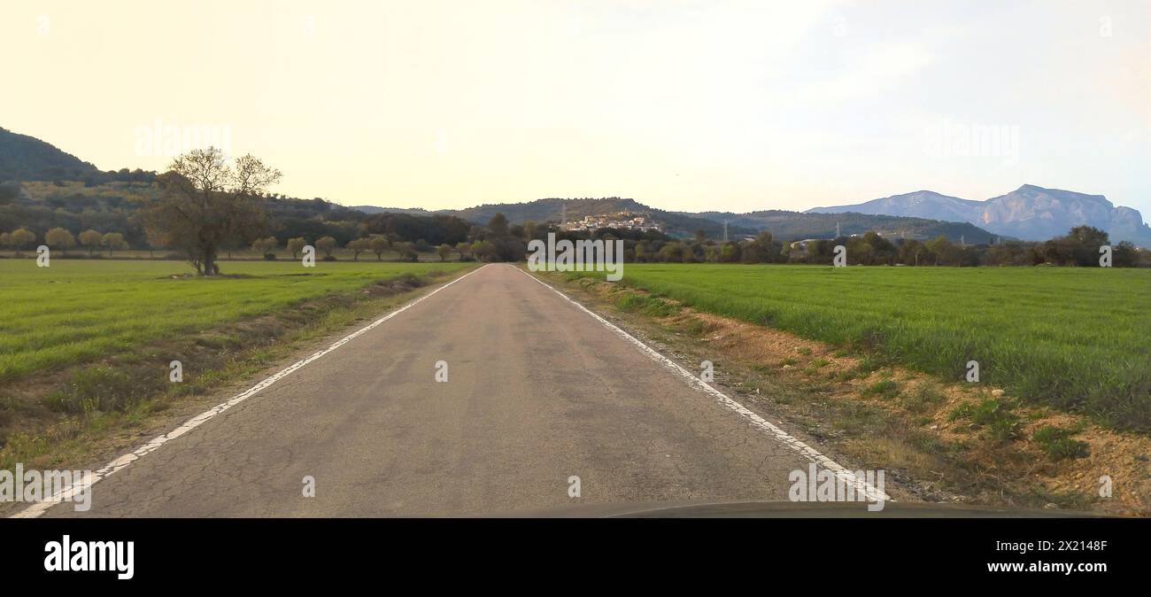 une route traversant des champs de blé vert. La route est vide et il n'y a pas de voitures sur elle Banque D'Images