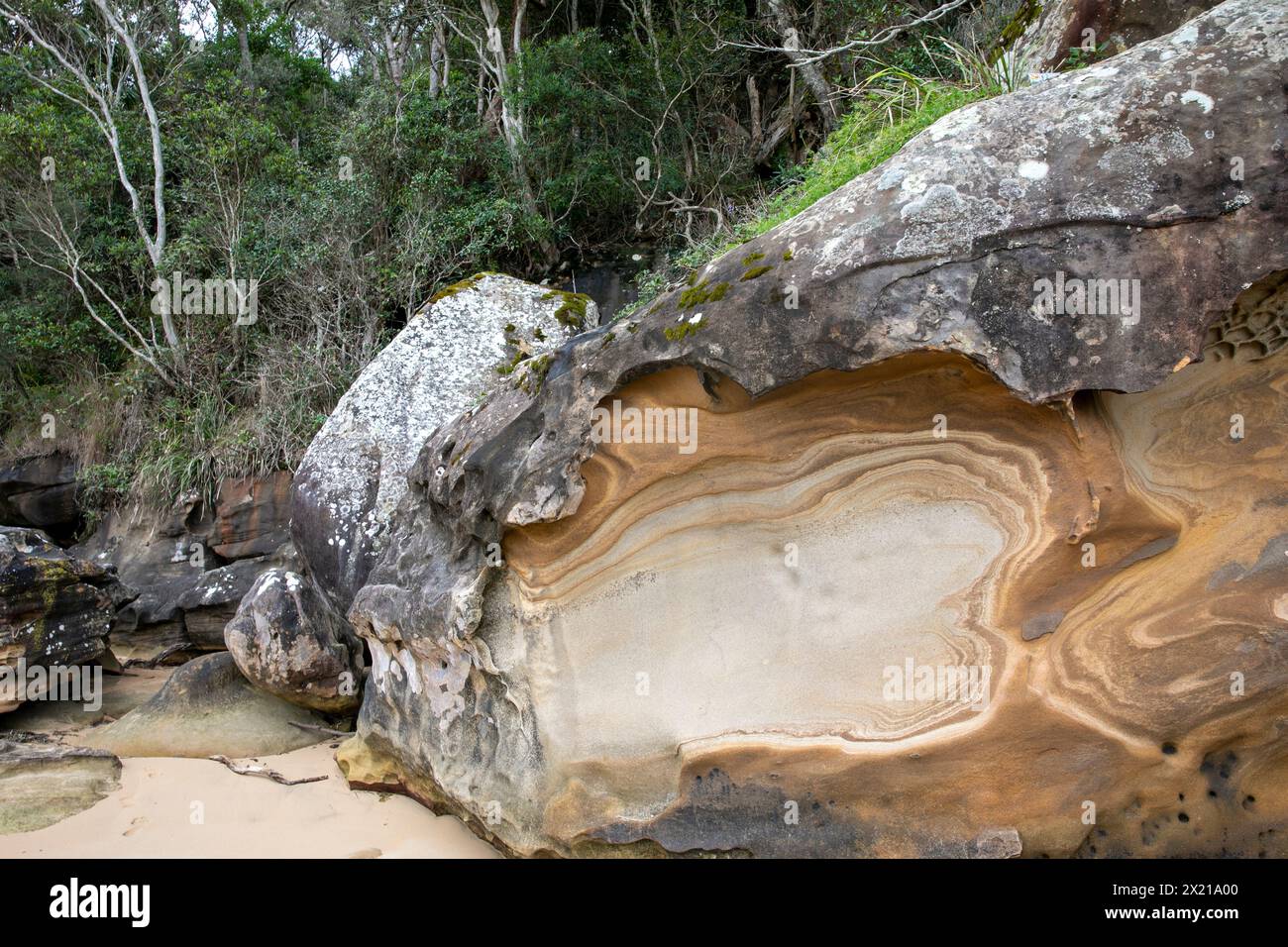 Resolute Beach dans le parc national de Ku-ring-gai Chase, grand rocher rocheux avec modèle d'érosion dans la pierre, Nouvelle-Galles du Sud, Australie Banque D'Images