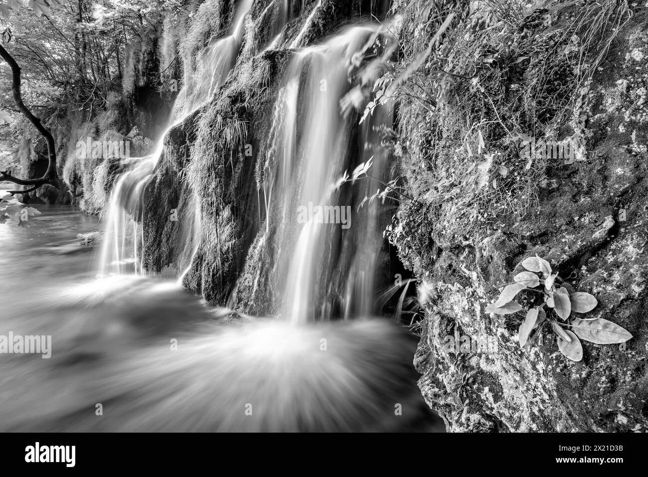 Cascade coule sur les terrasses frittées, les lacs de Plitvice, le parc national des lacs de Plitvice, les lacs de Plitvice, site du patrimoine mondial de l'UNESCO, Croatie Banque D'Images