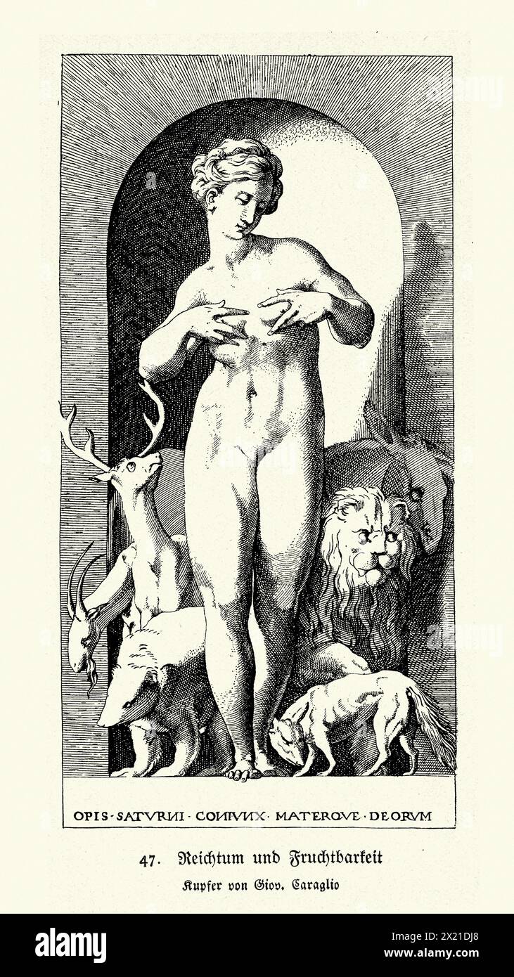 Illustration vintage, Vénus, richesse et fertilité, d'après giovanni jacopo caraglio, art du XVIe siècle Banque D'Images
