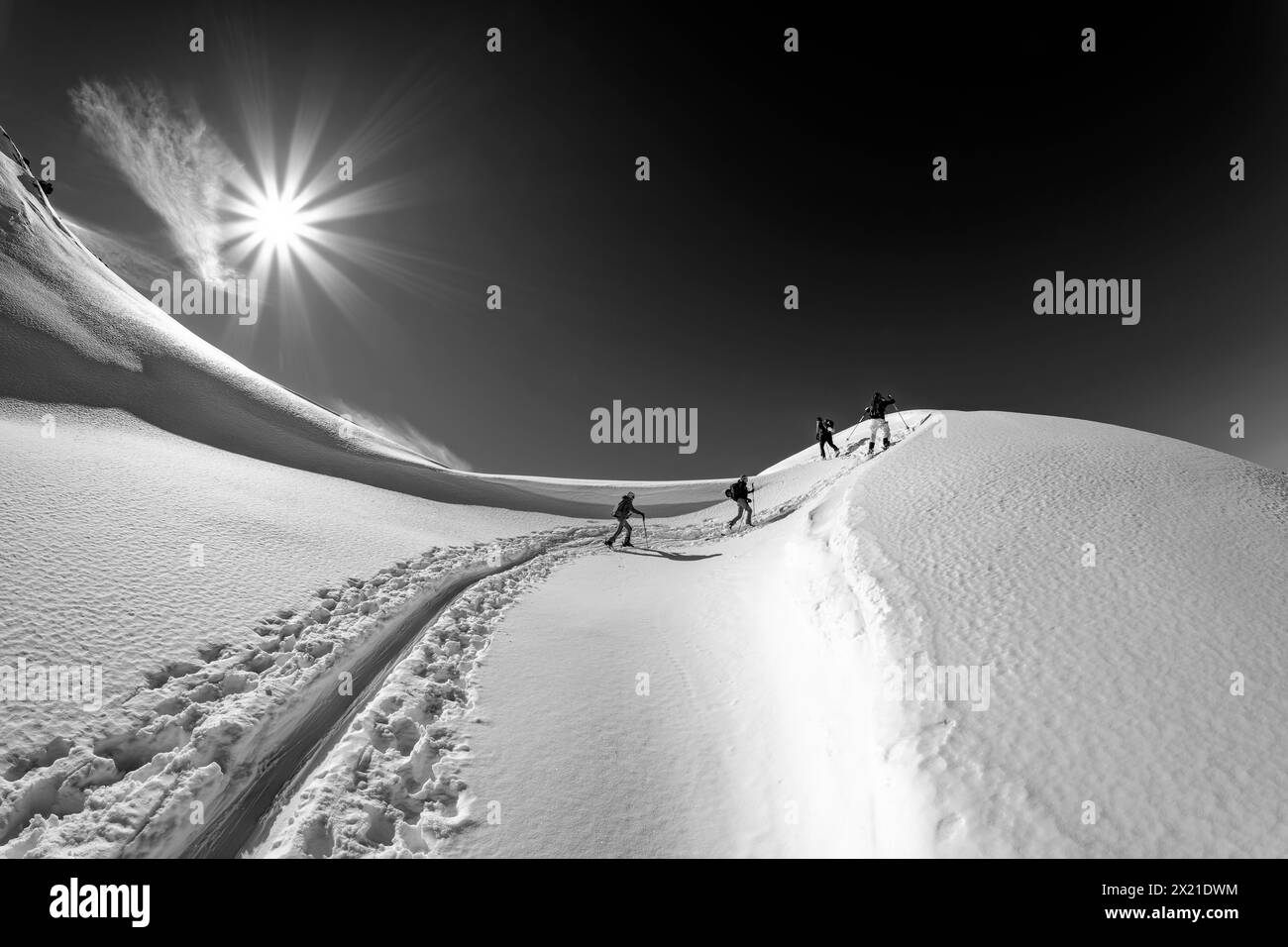 Quatre personnes en ski grimpent à Wildkarspitze, Alpes de Zillertal, Parc naturel des Alpes de Zillertal, Tyrol, Autriche Banque D'Images