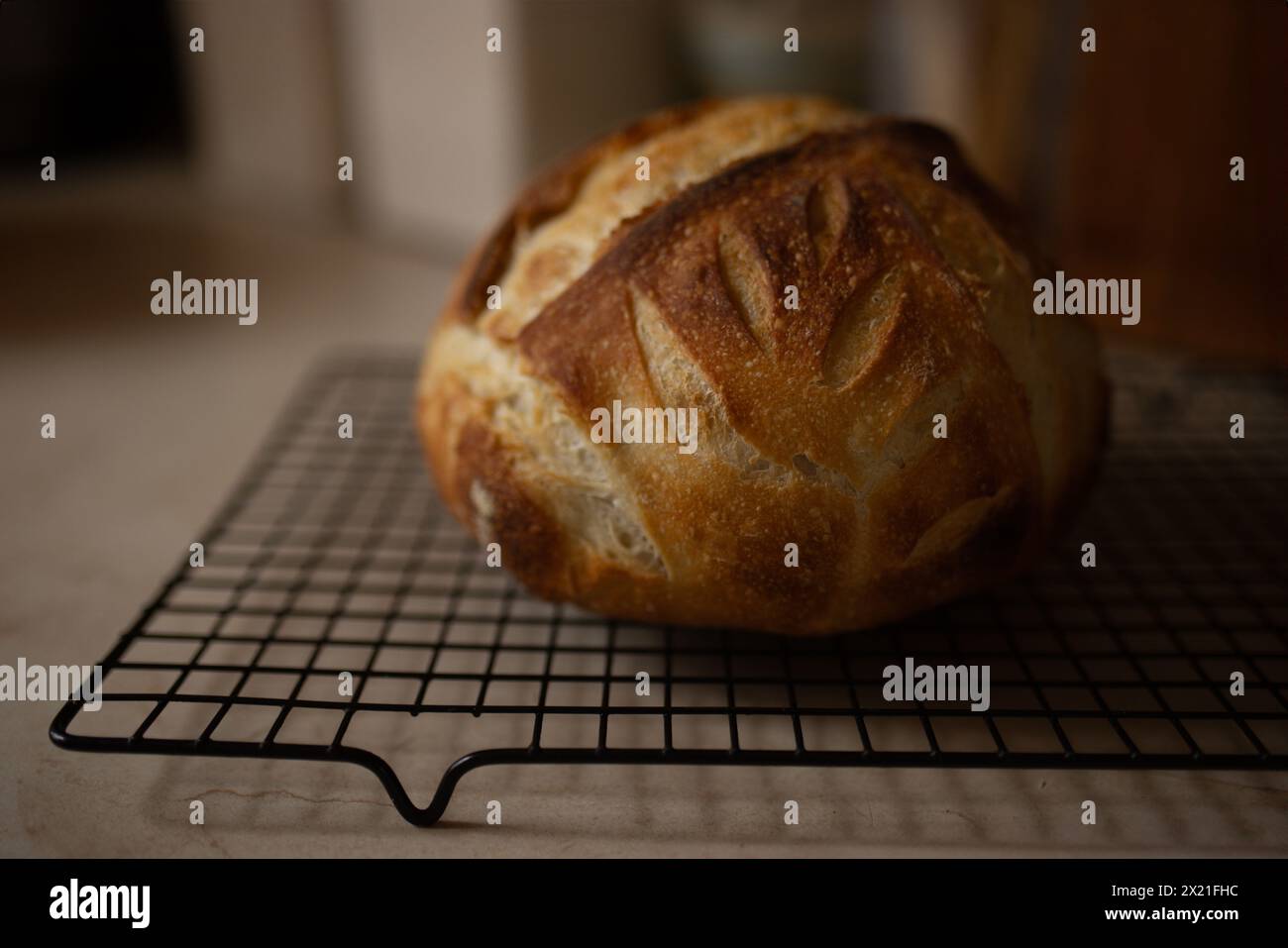 Boule de levain fraîchement cuit refroidit sur le comptoir de la cuisine sur la grille Banque D'Images