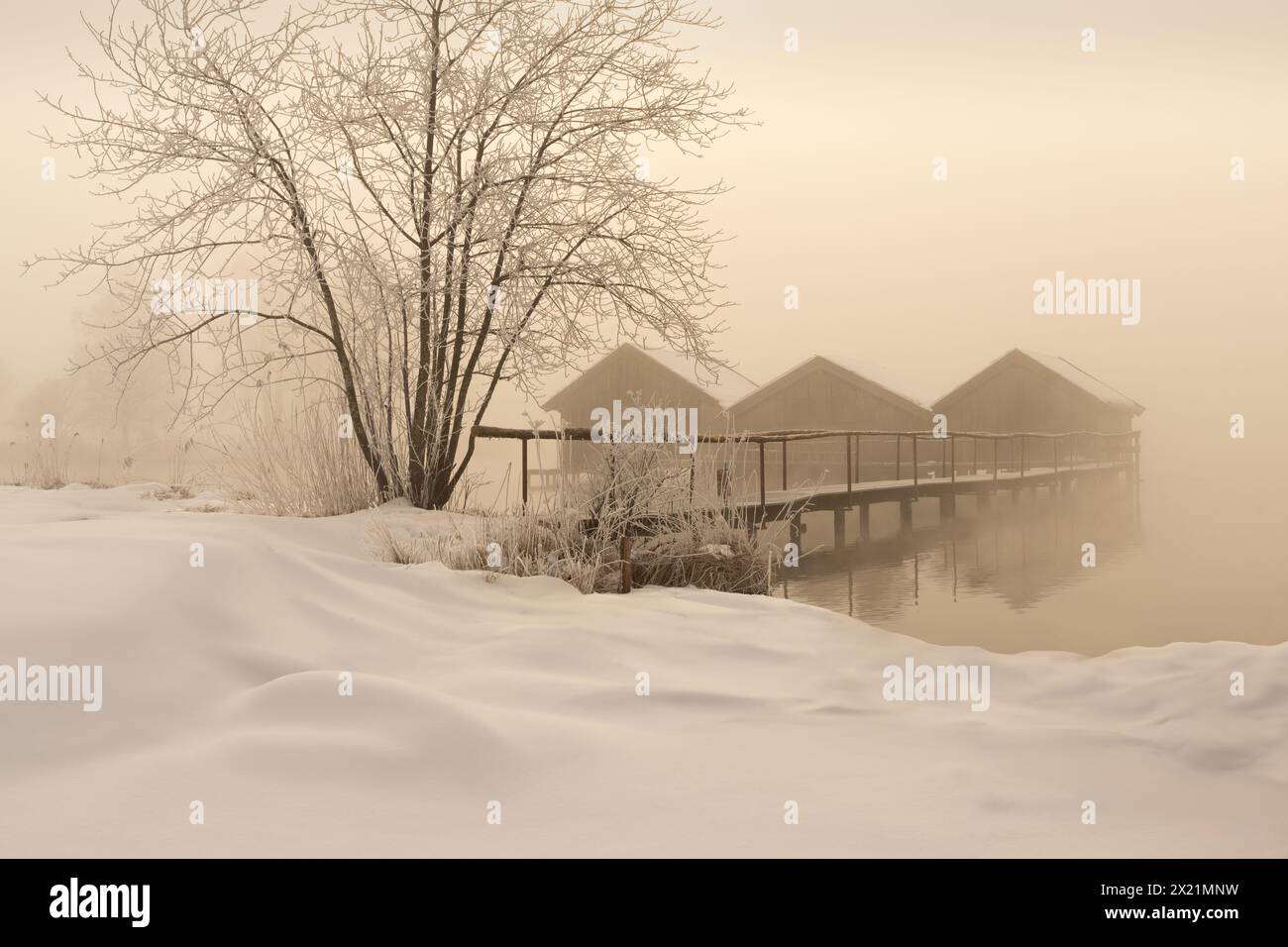 Les 39 maisons des pêcheurs de Schlehdorf sur un matin d'hiver brumeux, haute-Bavière, Bavière, Allemagne, Europe Banque D'Images