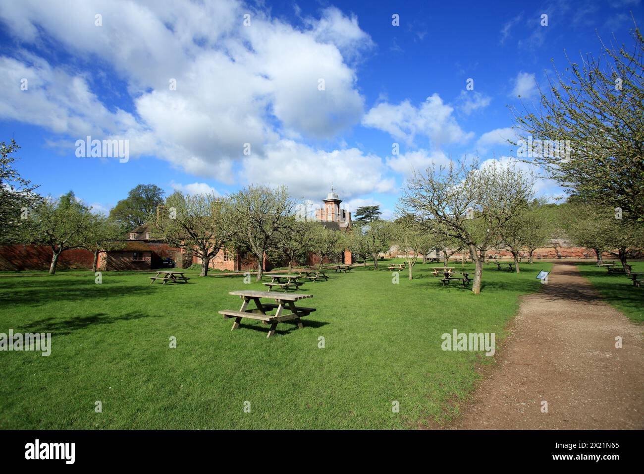 Salle Dudmaston salon de thé Orchard à l'extérieur du coin salon. Banque D'Images