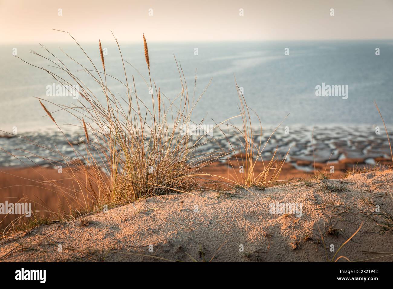 Géographie / voyage, Allemagne, Schleswig-Holstein, Morsum, coucher de soleil sur la falaise de Morsum, Sylt, ADDITIONAL-RIGHTS-CLEARANCE-INFO-NOT-AVAILABLE Banque D'Images