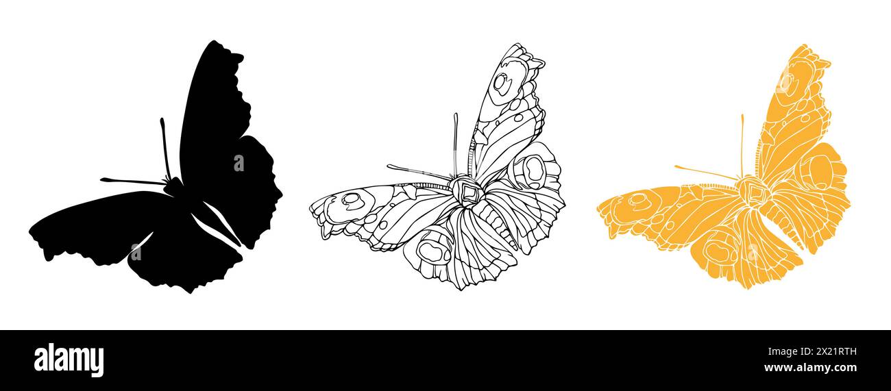 Dessin au trait à l'encre noire papillon et illustrations détaillées de silhouette pour la découpe au laser. Ensemble d'insectes pour coloriage, tatouage, autocollants dessinés à la main. Vecteur Illustration de Vecteur