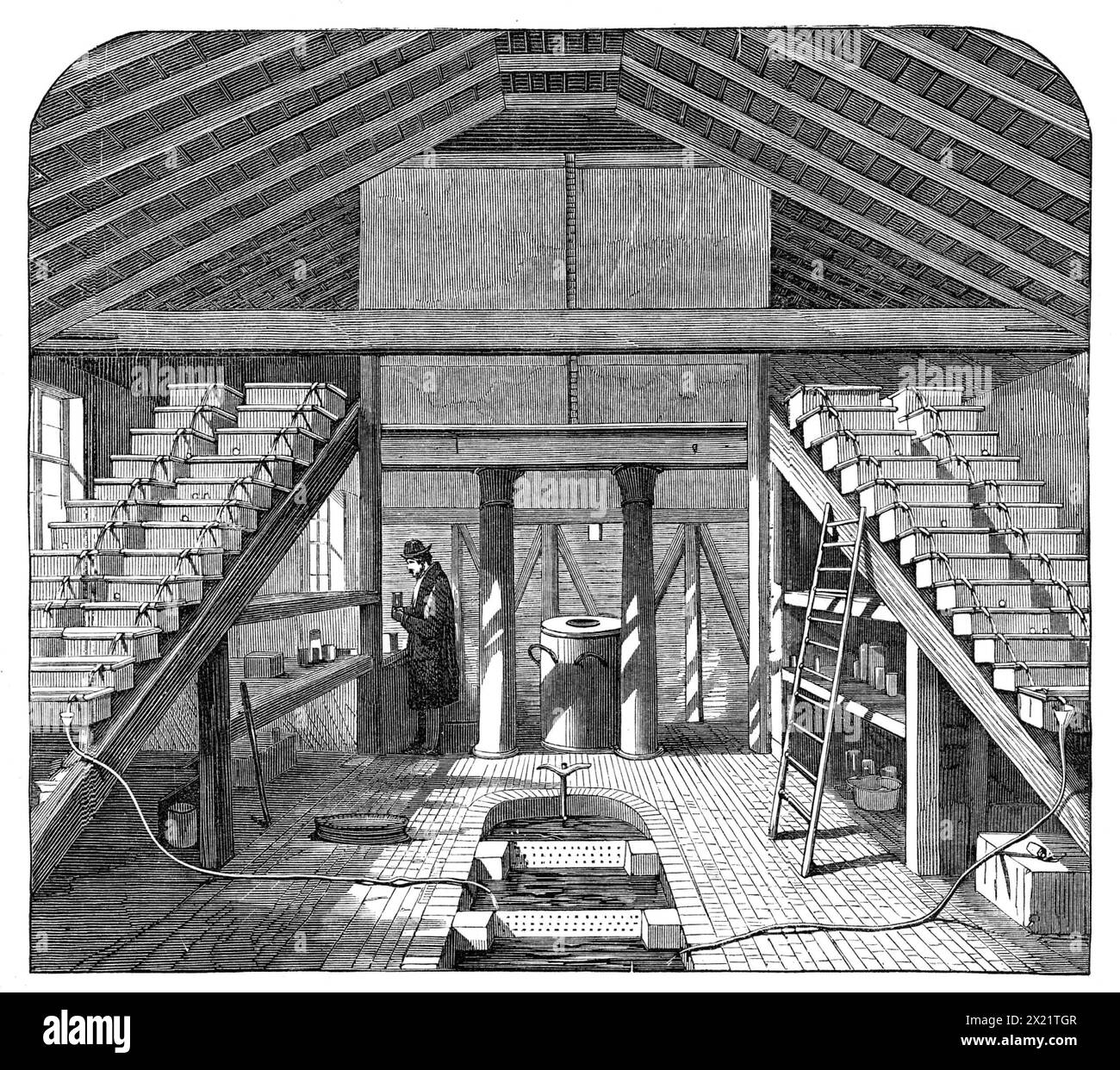 Maison d'élevage de poissons à Twickenham, 1864. 'Établissement piscicole... construit par M.R. Francis, à Twickenham... à une extrémité se trouve une énorme citerne en ardoise, alimentée par la principale, et qui contient 2500 gallons d'eau. La citerne est raised...from le sol ; et de chaque extrémité de cette double rangée de plateaux, contenant les ovules, sont transportés vers le bas, l'un au-dessous de l'autre, en gradation régulière au sol, sur des supports en bois. Quelque soixante-six d'entre eux sont maintenant utilisés, et l'appareil contient à ce moment environ quatre-vingt-dix mille œufs de saumon, truite saumonée, grande truite de lac, truite commune, et c Banque D'Images