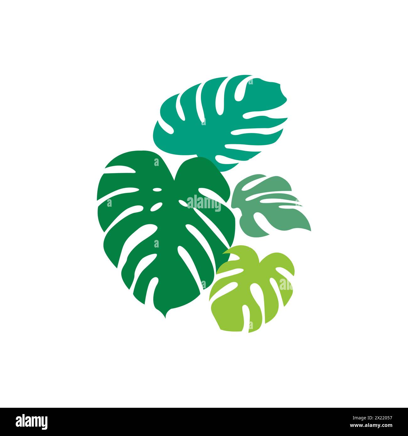 Vecteur de feuille de plante Monstera. Vecteur de feuille tropicale Illustration de Vecteur