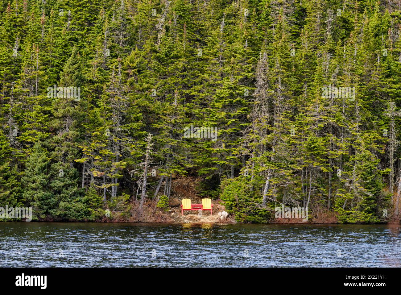 Places assises long Pond - Random Island - Terre-Neuve Banque D'Images